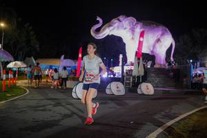 BIB: 
                            <button type="button" onclick="openModal(26552007)" class="btn btn-primary btn-sm float-right btn-popup" data-toggle="modal" data-target=".modal-high-quality">
                        <i class="fas fa-shopping-cart"></i> Add to Cart
                    </button>
                                            <button type="button" onclick="isThisMe(26552007, true)" class="btn btn-success btn-sm float-right btn-popup btn-isme hidden" data-toggle="tooltip" data-placement="bottom" title="นี่คือรูปของคุณใช่ไหม คลิกที่นี่เพื่อเอาเข้าอัลบั้ม">
                        <i class="fas fa-plus"></i> Add to album
                    </button>
                    <button type="button" onclick="isThisMe(26552007, false)" class="btn btn-warning btn-sm float-right btn-popup btn-isnotme hidden">
                        <i class="fas fa-ban"></i> Remove from album
                    </button>